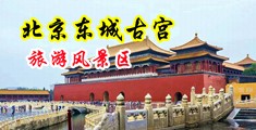 逼痒痒想被大鸡巴操视频中国北京-东城古宫旅游风景区